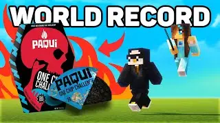 1 CHIP CHALLENGE NO DEBUFF SPEEDRUN ANY% (WORLD RECORD)