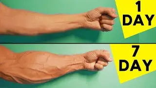 5 Best Exercises For Forearms | Home Workout