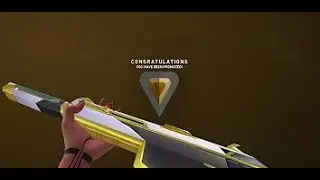 This is what a 6 year old Bronze player looks like