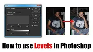 How to use Levels in Photoshop