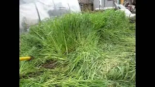 Плоскорез Кузьмич практика использования