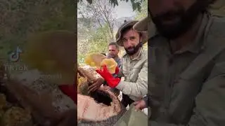 mohammad arif ciziri xezal, muhammad arif ciziri xezal.     mihamad arif ciziri xezal