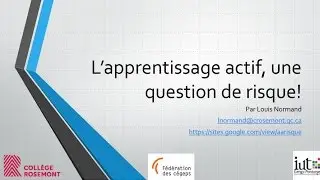 L'apprentissage actif, une question de risque