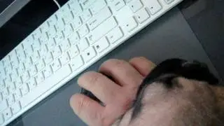 Французский бульдог спит на руке и похрапывает 1 серия