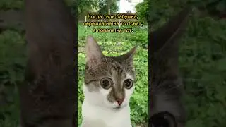 Свет ограбил бабушку😱 Пародия на @Danya_rodnoy 
