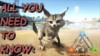AllYouNeedToKnow: Jerboa