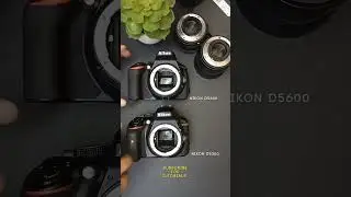 Nikon D5300 vs D5600 