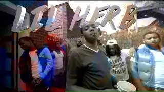 Lil herb hot niggas