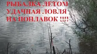 Рыбалка летом удачная ловля на поплавок