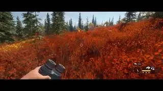 theHunter: Call of the Wild