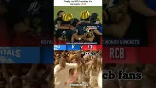 wpl 2024 #rcb #wpl #rcbw #wpl2024 #trophy #shorts