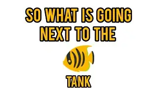 The time has come to see what is going next to the fish tank