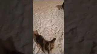 Игры с колечками в мороз