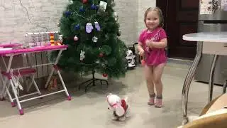Танцы с собачками
