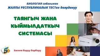 Таянгыч жана кыймылдаткыч системасы