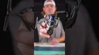 Unboxing the NEW Shimano Stradic FM