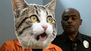 HOW TO BREAK OUT OF JAIL - WORKS 100% - TESTED BY MYSELF - BREAKOUT GUARANTEE #theworldexplained