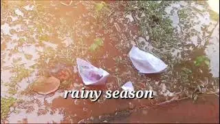 Rainy Evening #Rain #Season