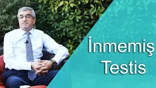 İnmemis Testis Nedir?