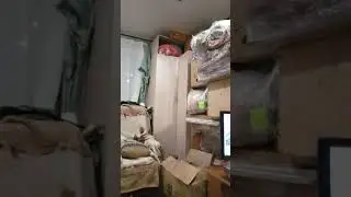 верхолазка моя