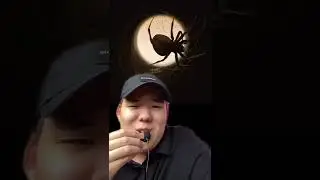 Паутину раньше использовали как.... 