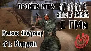 ПРОХОДИМ СТАЛКЕР ТЕНЬ ЧЕРНОБЫЛЯ С ОДНИМ ПМ! ВЫЗОВ ЯБУРЯНУ! #1: Кордон.