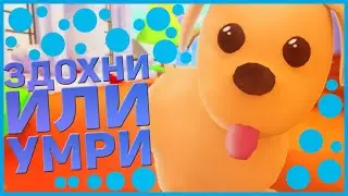 Это программа СДОХНИ ИЛИ УМРИ | Specter&Adopt Me