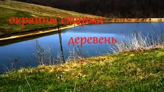 Что можно найти на окраине старых деревень 👣