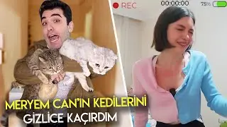 I SNEAK AWAY MY FRIEND'S CATS!! (Called the Police)