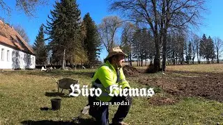 Rojaus sodai - Būro kiemas #11-25