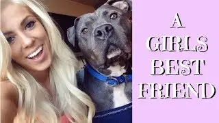 A Girls Best Friend | A Story About My Dog