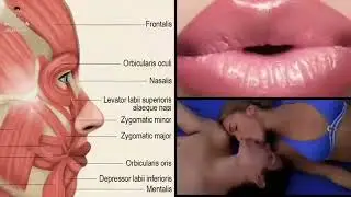 Топ 9. Интересные факты о губах