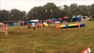 DVM Finale 2014 in Wulsbüttel - Sandy