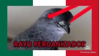 IMITADORES PERUANOS DE CANTANTES MEXICANOS||COMPARACIÓN