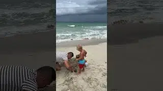 Папа играет с малышами на пляже. Детское видео! 