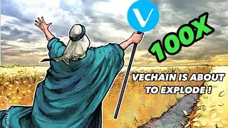 VECHAIN ($VET) IS ABOUT TO EXPLODE ! BILL MAHER CALLS CRYPTO A JOKE , SKONEY RETURNS