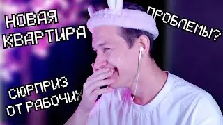 ИСТОРИЯ ДУШЕНЬКИ про квартиру | Нарезки Душеньки