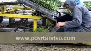 Рассадопосадочная машина RAIN ☔ FLO