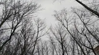 Санек - Солнце встает ... (Чекни описание)