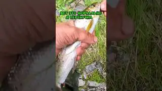Нифига себе поел каши. 