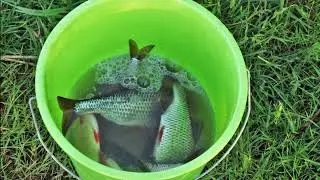 Праздник у воды.