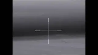 охота на волка Беларусь
