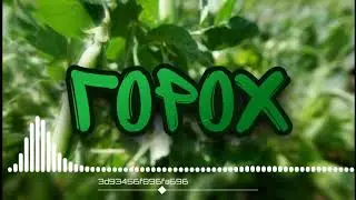 ГОРОХ - Dior (пародия 2021)