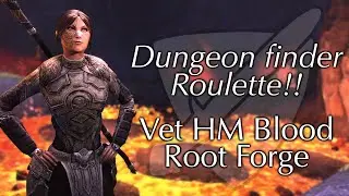 Veteran Dungeon Finder Chaos! | Elder Scrolls Online Dungeons without Friends (2)