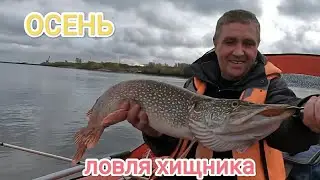 Ловля хищника. ОСЕНЬ 2023 