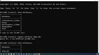 How to use MySQL in command line on Window 10