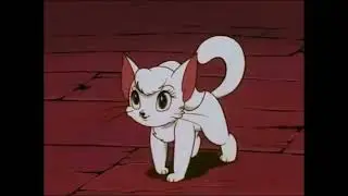 Sudden Cat anthropomorphism