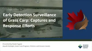 Early Detection Surveillance of Grass Carp: Captures and Response Efforts