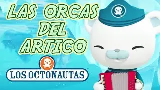 Los Octonautas Oficial en Español - Las Orcas del Ártico | Episodio 43