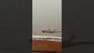 геккон в доме в Гоа 